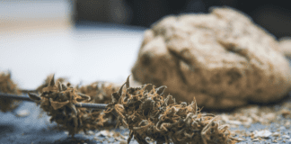 The CBD Business is BOOMING. Here’s Why.