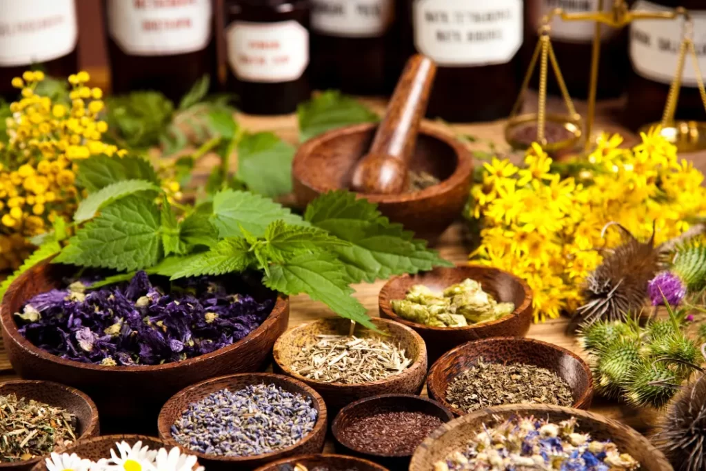 Medicinal Herbs for enhancing testosterone. Testosterone boosting herbs.