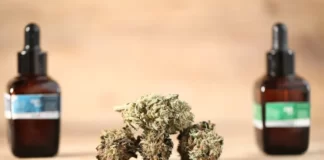 Feals CBD vs Partnered Process CBD