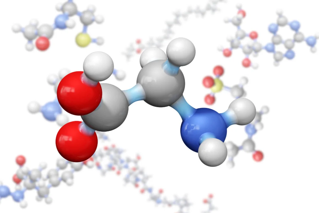 a model of molecules of Glycine