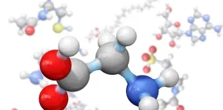 a model of molecules of Glycine
