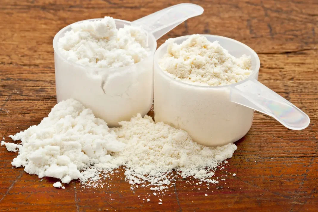 close up shot of protein powder in a scoop