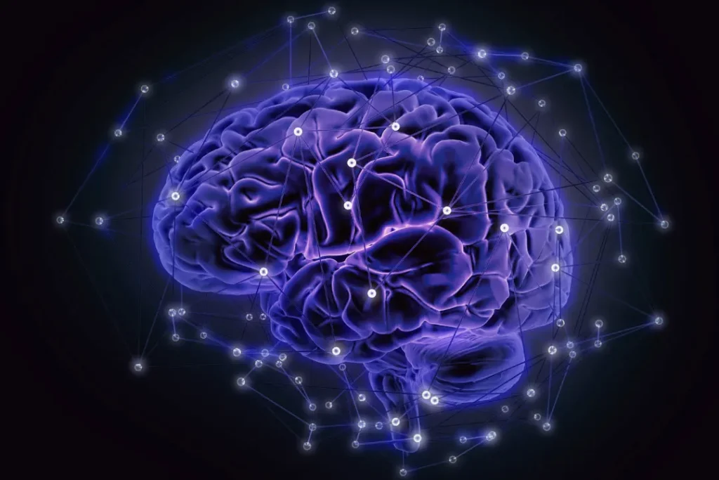 computer artwork of the human brain