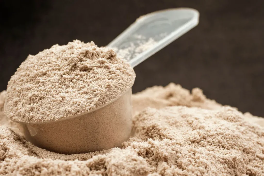closeup shot of paleo protein powder