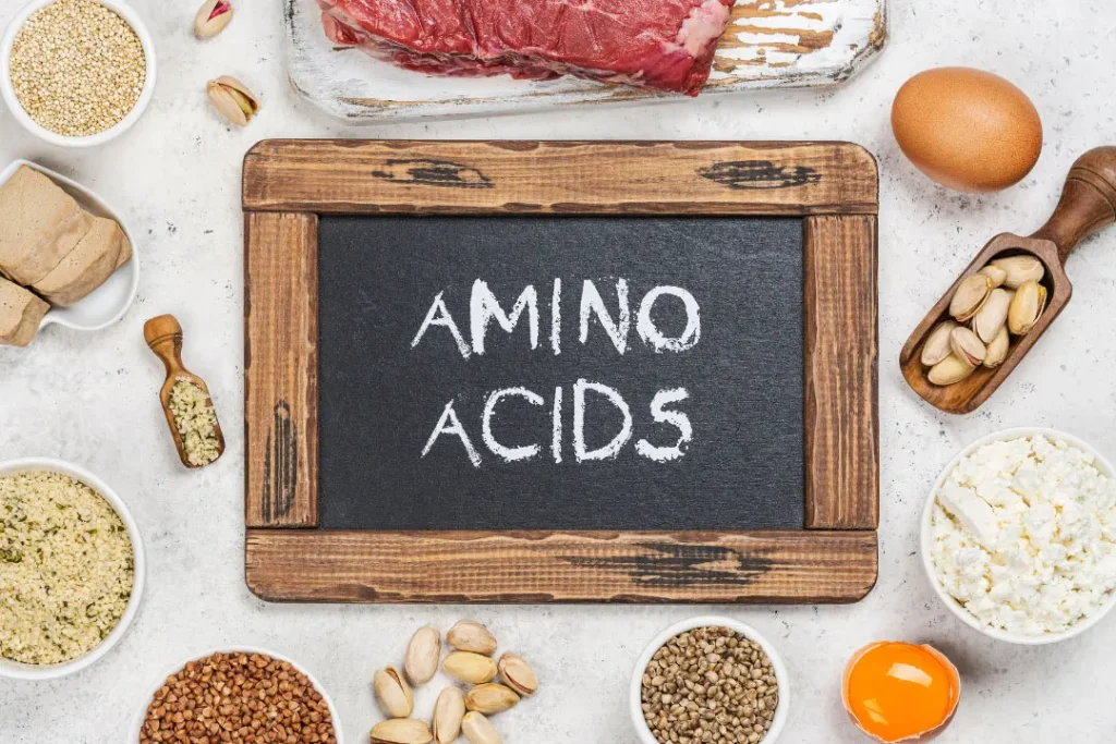 food that contain high amino acid