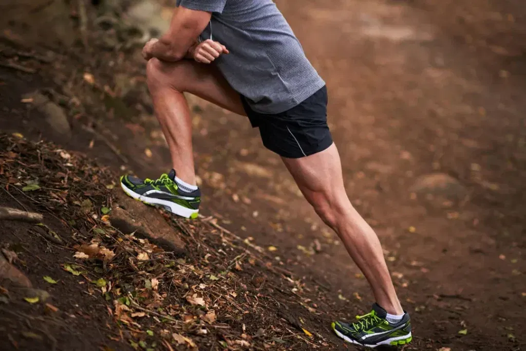 Workout Stretches. 