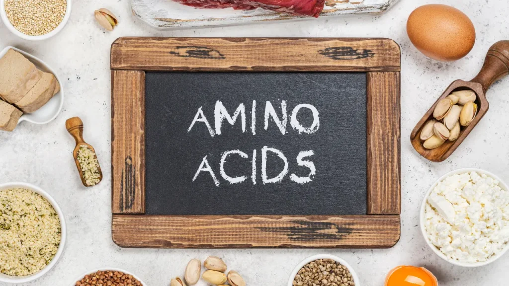 Amino acid sources. 