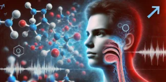 Does Testosterone Make Your Voice Deeper? The Science Behind Hormones and Vocal Changes A scientific visualization of testosterone’s effects on vocal depth, showing a split-screen of a young male with a higher-pitched voice and an older male with a deeper voice. The background blends molecular structures of testosterone with anatomical illustrations of vocal cords, symbolizing hormonal influence on voice changes