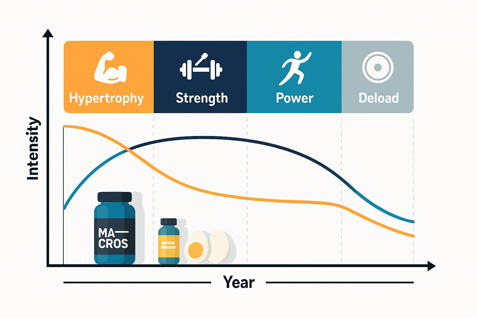 Periodization chart illustrating training phases and intensity changes over time, useful for planning a list of resistance training exercises.